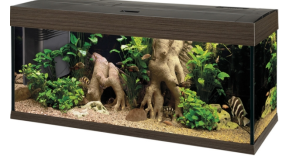 DUBAI 120 AQUARIUM ΜΑΥΡΟ