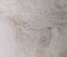 WHITE BIRD FIBER FOR NEST 1kg