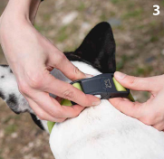 Ошейник CLUB REFLEX ЧЕРНЫЙ