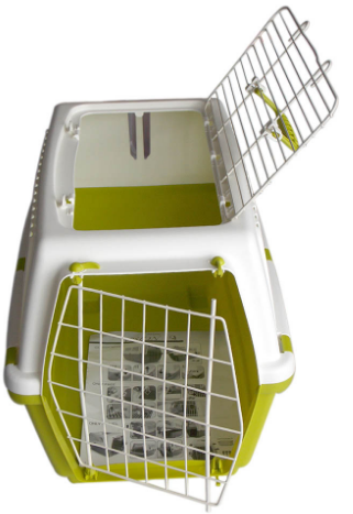 СВОБОДНОЕ ЗРЕНИЕ