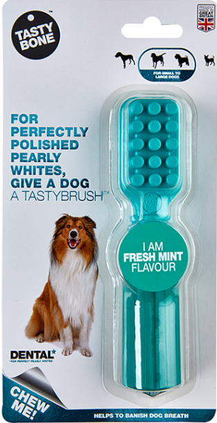 SMALL/LARGE TASTYBRUSH DENTAL