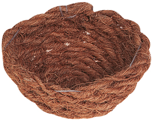 SISKIN NEST WITH COCOS