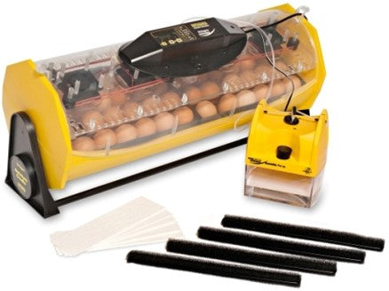 OCTAGON EX ADVANCE EX