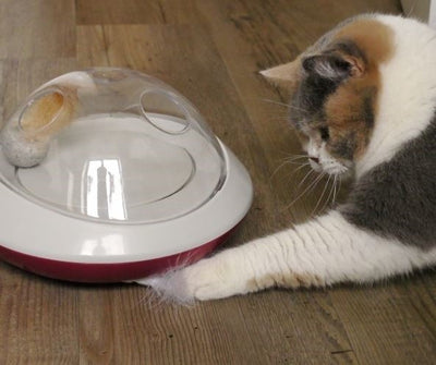 CAT FETHER CHASER 13 x Ø 10cm
