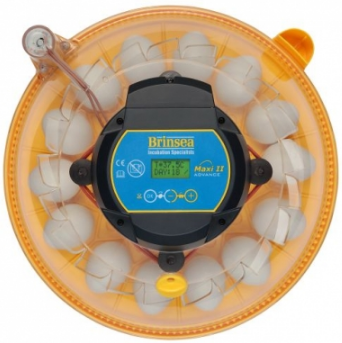 INCUBATOR MAXI 2 ADVANCED