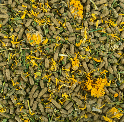 РЕПТИЛИЯ ТРАВОЯДНОЕ МЯГКОЕ