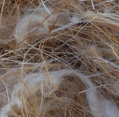 ANTISEPTIC COCCO-SISAL-JUTA