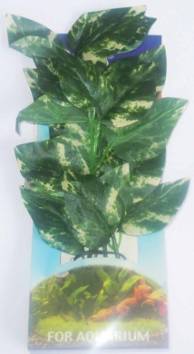 SILK PLANT GREEN & WHITE LEAF