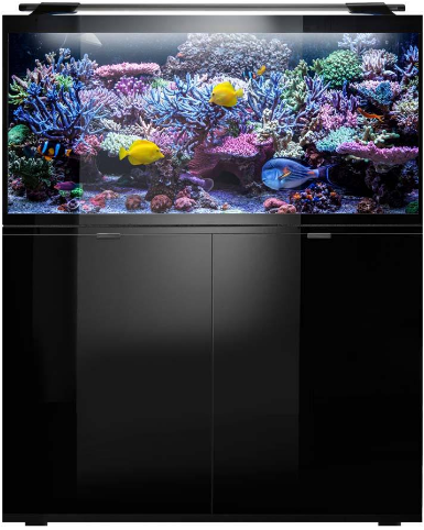 GLOSSY MARINE ΣΕΤ