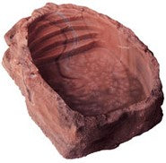 ЧАШКА ДЛЯ КУПАНИЯ КРАСНАЯ