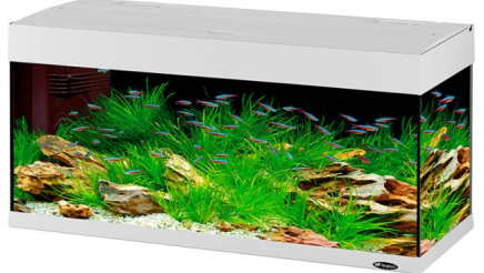 DUBAI 100 AQUARIUM ΜΑΥΡΟ LED