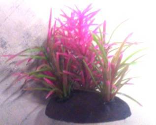PLASTIC PLANT PINK & GREEN THIN LEAF