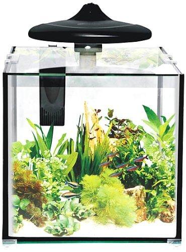 Small aquarium 30 litres