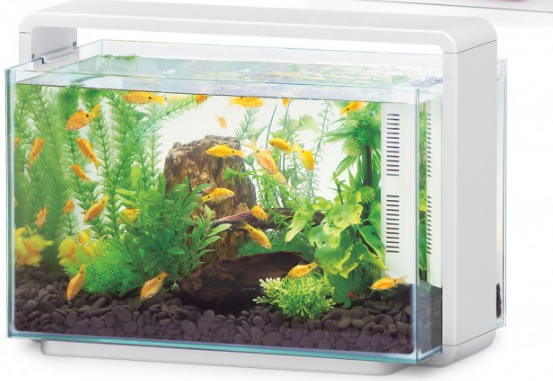 FASHION HOME AQUARIUM