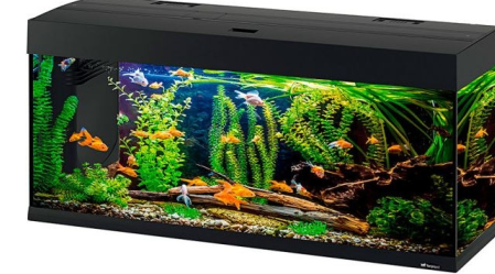 DUBAI 120 LED
