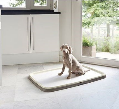 PUPPY TRAINERS STARTER KIT XLARGE