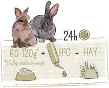 PUUR КРОЛИК ЧУВСТВИТЕЛЬНЫЙ