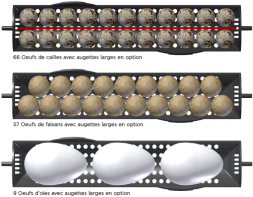 INCUBATOR OVATION 56 ADVANCED