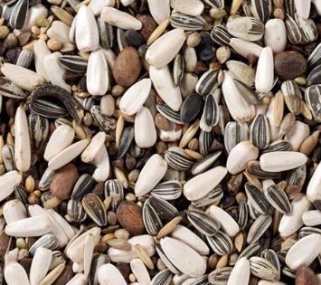 62-ΠΑΠΑΠΑΓΟΙ ΕΚΤΡΟΦΗ 15KG