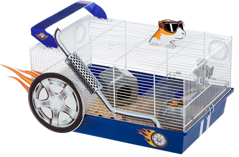 ДОМАШНИЙ ДРАГСТЕР ДЛЯ ХОМЯКА