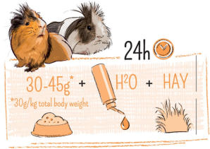 PUUR ГВИНЕЯ ЧУВСТВИТЕЛЬНЫЙ