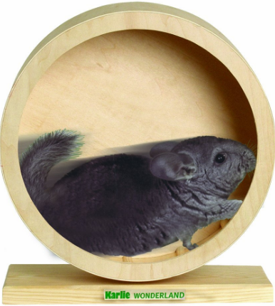 TOY DANCO EXERCISE WHEEL