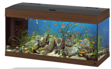 AQUARIUM DUBAI 100