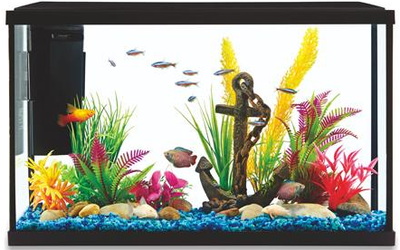 STARTER KIT AQUARIUM