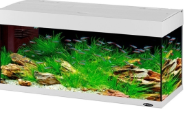 DUBAI 120 LED
