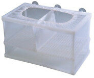 NIDO 3.1 XL HATCHERY