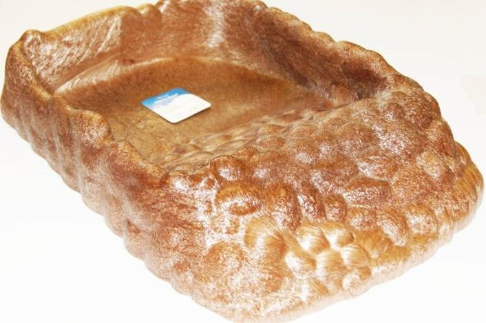 REPTILE DISH SQUARE