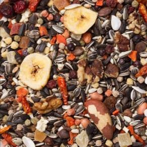 20-BIRDLICIOUS PARROT SERENGETI