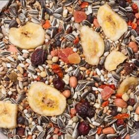 22-BIRDLICIOUS PARROT AMAZONIA