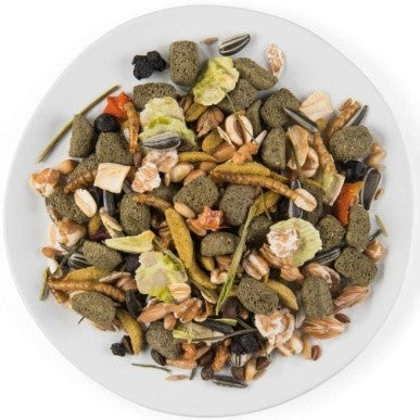 ПУУР ДУАРФ ХАМСТЕР И ФРИ