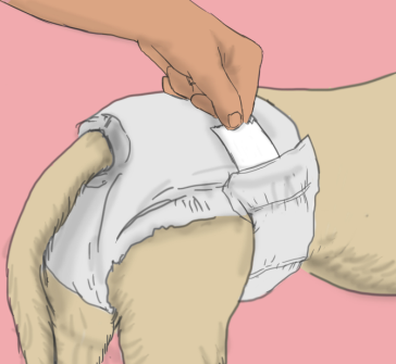 DOG DIAPERS