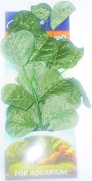 ΜΕΤΑΞΩΤΟ ΦΥΤΟ ΠΡΑΣΙΝΟ ΜΕΓΑΛΟ ΣΤΡΟΓΓΥΛΟ ΦΥΛΛΟ