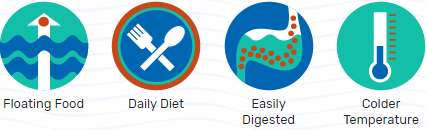 ΣΙΤΟΦΥΡΟ ΒΥΘΕΙ