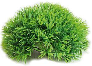 AQUARIUM HALF MOSS