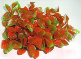 ΠΛΑΣΤΙΚΟ ΤΟΥΜΠΙ ΚΟΚΚΙΝΟ 9εκ