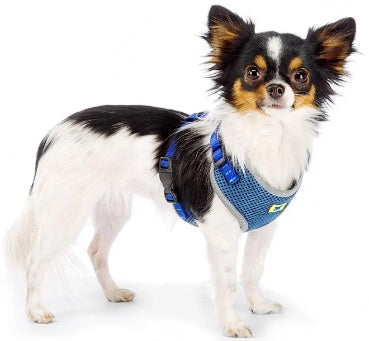 NIKITA P BLUE