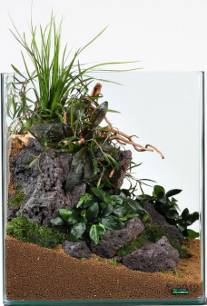 ICELANDIC LAVA ROCK 15-25cm per kg