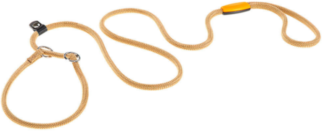 SPORT LEAD GC ΝΕΟ ΧΡΩΜΑ