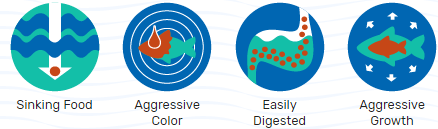 ΚΙΧΛΙΔΑ ΒΥΘΜΙΣΗΣ EXCEL MINI