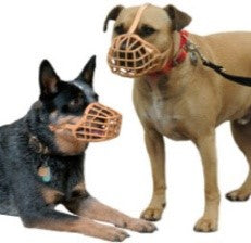 ΜΠΑΣΚΕΡΒΙΛ ΜΟΥΣΤ