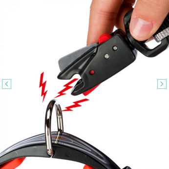 SPORT DOG MATIC LEAD