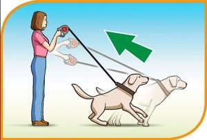 FLIPPY CONTROLLER СРЕДНЯЯ ЛЕНТА