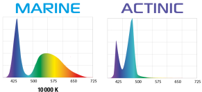 LEDDY TUBE RETROFIT ACTINIC
