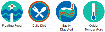 ЗАРОДЫШИ ПШЕНИЦЫ