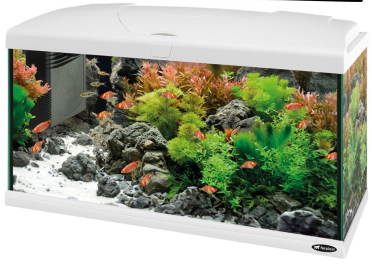 LED CAPRI 80 AQUARIUM