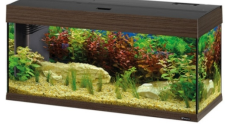 AQUARIUM DUBAI 100